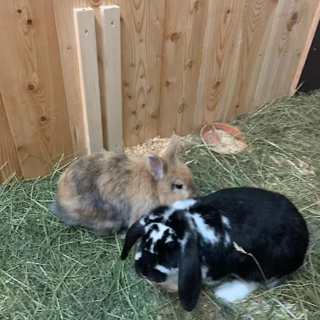 Apartamento Stadlhof